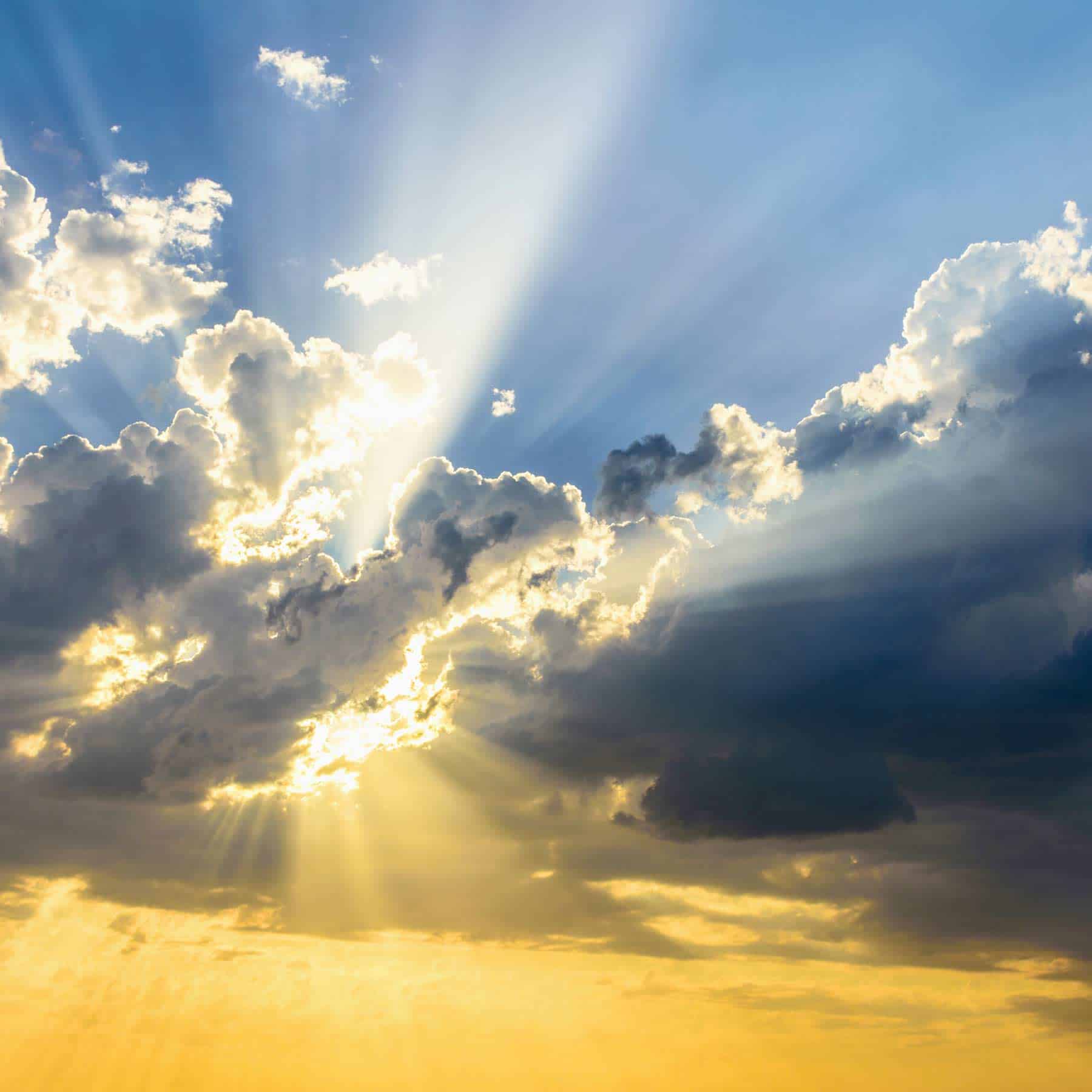 Breakthroughs with the Passive Aggressive Spouse in Couples Therapy<br>(Audio MP3 & Transcript)