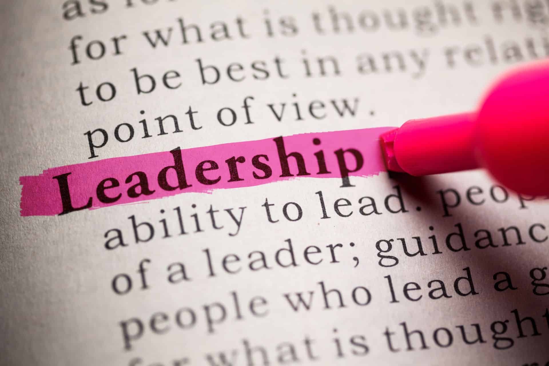 6 Steps to Developing Leadership in Couples Therapy